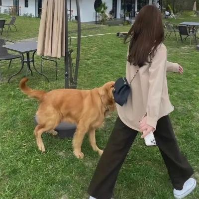 背后的她,眼前的我